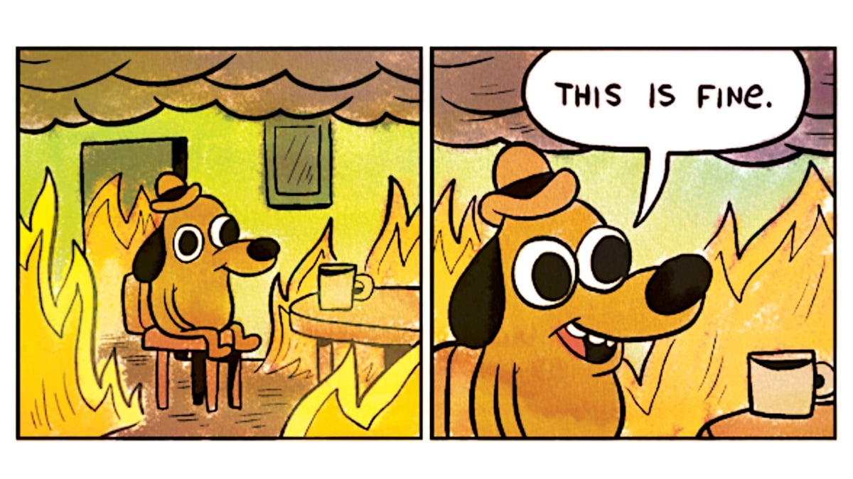 this is fine dog meme