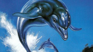 ecco the dolphin game sega