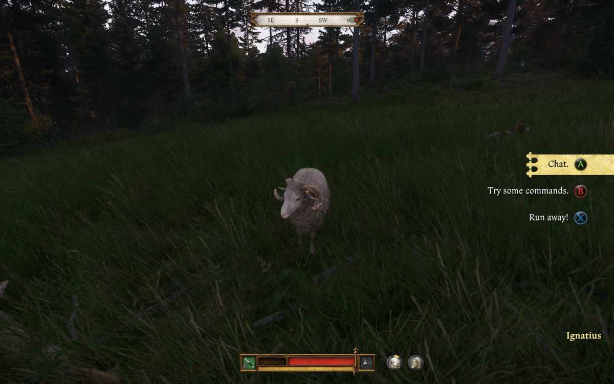 Kingdom Come: Deliverance II screenshot featuring a sheep